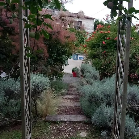 Les Du Veau D'or Ozillac