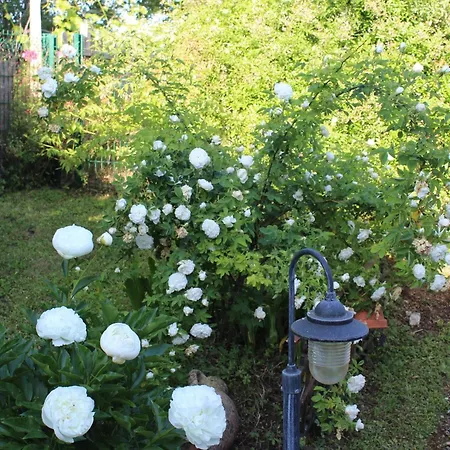 Casa vacanze Les Du Veau D'or Ozillac