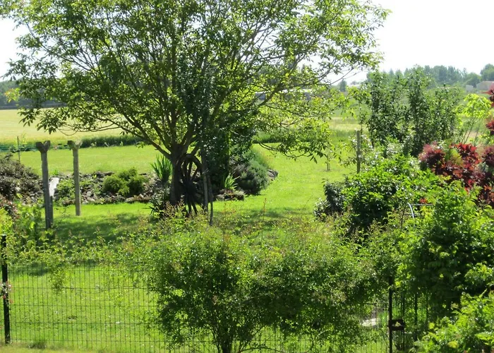 Les Du Veau D'or Ozillac